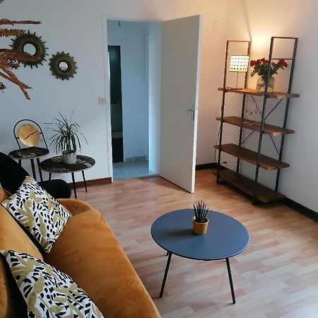 Studio "Douceur Angevine" Hotel Saint-Jean-des-Mauvrets Luaran gambar